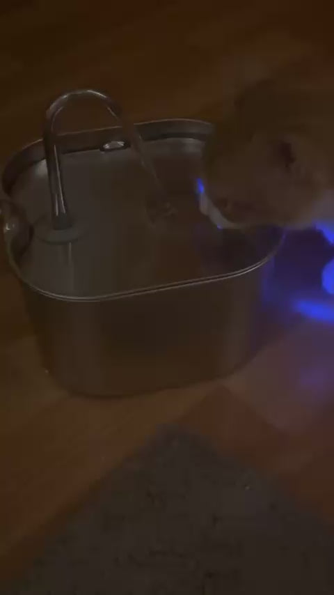 Pawora Edelstahl Trinkbrunnen für Katzen – 2,2 L, leise Wasserpumpe